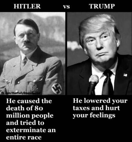 compare and contrast - hitler vs trump.jpg